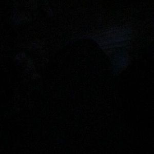 Meet your Posher, Jess